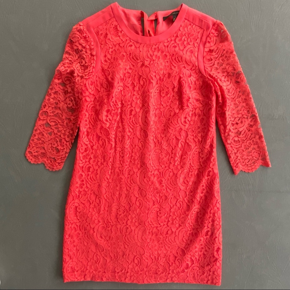 Cynthia Steffe Pink Lace Dress